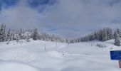 Excursión Raquetas de nieve La Pesse - La Pesse Embossieux /Le Lac de l'Embouteilleux  - Photo 5