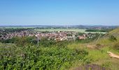 Trail Walking Hénin-Beaumont - Parc des Iles Hennin Drocourt - Photo 15