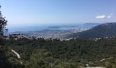 Tour Wandern La Farlède - Le Coudon depuis la Farlède (Variante) - Photo 1