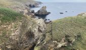 Excursión Senderismo Plogoff - Pointe du Raz - Photo 7