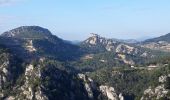 Tocht Stappen Ollioules - Château Vallon  - Photo 18