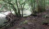 Trail Mountain bike Paliseul - vtt maissin lesse redu sechery - Photo 2