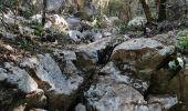 Randonnée Marche Le Revest-les-Eaux - Du Tourris au lac du Revest - Photo 16