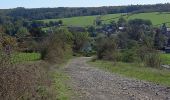 Tour Wandern Houyet - Finnevaux-Wiesme - Photo 7