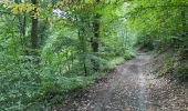 Randonnée Marche Namur - La Plante Citadelle Namur 16,3 km - Photo 8