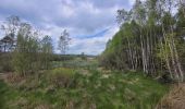 Trail Walking Vielsalm - rando ornitho fagnes de sacrawé petite taille 20-05-20023 - Photo 1