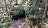 Trail Walking Wisches - Col de l'Engin Rocher de Mutzig - Photo 6