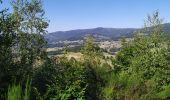 Trail Walking Lapoutroie - La tour du Faudet - Photo 1