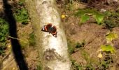 Tocht Stappen Theux - haut regard sur le Potai  - Photo 1