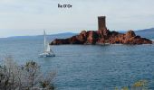 Randonnée Marche Saint-Raphaël - Le  Tour du Dramont par les Ferrières  - Photo 15