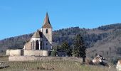 Randonnée Marche Mittelwihr - Les perles du vignoble  : Mittelwihr - Beblenheim - Zellenberg - Hunawihr - Riquewihr. - Photo 20