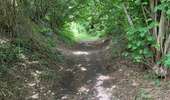 Trail Walking Dour - Élouges 17 km - Photo 4