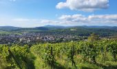 Trail Walking Molsheim - Molsheim - Fort de Mutzig - Balade dans les vignes - Photo 3