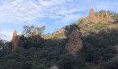 Trail Walking Saint-Raphaël - les Grues, le Mont St Martin depuis les Lentisques - Photo 4