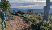 Trail Walking Roquebrune-sur-Argens - La Flûte  - Photo 1