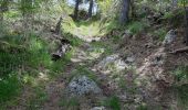 Trail Walking Rocles - Rocles - Photo 3