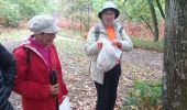 Trail Walking Fontainebleau - franchard 15 octobre 2022  - Photo 2