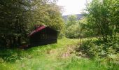 Tocht Stappen Ramonchamp - Ferdrupt / Les etangs noirs / Chalet Grammont / Chalet de l'alouette  - Photo 2