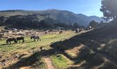 Tour Wandern Les Angles - 20220714 bollosa - refuge Camporells-lac d’Aude - Photo 14