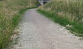 Trail Walking Asse - 20220612 WSV Zellik 6 km - Photo 12