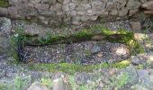 Trail Walking Le Muy - Ste Candie - Photo 3