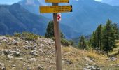 Trail Walking Guillestre - col garnies aller retour  - Photo 8