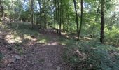 Tocht Mountainbike Chimay - Baileux - Couvin - Ry de Rome - Regniessart - 65km  : 1250 - Photo 8