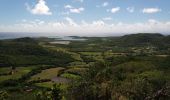 Tocht Stappen Sainte-Anne - Piton Creve-Coeur - Photo 4