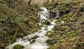Trail On foot Hauenstein-Ifenthal - Ifenthal- Trimbach - Photo 8