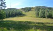 Tour Zu Fuß Pelkosenniemi - Noitatunturin valloitus (Summer hiking route) - Photo 3