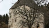 Tour Zu Fuß Frauenstein - Pulst-Sörg-Lorenziberg-Runde - Photo 9