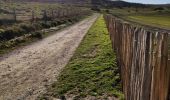 Tour Wandern Sangatte - Le Cap Blanc-Nez et les hauts de Sangatte  - Photo 6