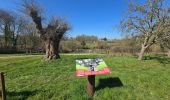 Randonnée Marche Boursay - Boursay - Le Moulin des Gaults - Photo 3