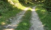 Trail Walking Autrans-Méaudre en Vercors - méandre - pas de pertuson - autran - meaudre  - Photo 2