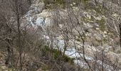 Trail Walking Vialas - Vialas tour du Rocher de Treize - Photo 4