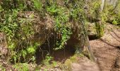 Excursión Senderismo Lemberg - Lemberg - cascade des Ondines - sentiers des grottes et des étangs - Photo 18