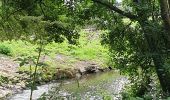 Tour Wandern Tréméven - Boucle de St Jacques à Tréméven,22 - Photo 3