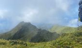 Tocht Stappen L'Ajoupa-Bouillon - Montagne pelée  - Photo 3