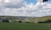 Excursión Senderismo Esneux - Hony - La Roche aux Faucons - Esneux - Photo 3