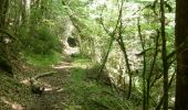 Randonnée Marche Cognin-les-Gorges - Cognin-les-Gorges - Gorges du Nan - Malleval-en-Vercors - Photo 18