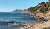 Tour Wandern Saint-Mandrier-sur-Mer - Le littoral de St Mandrier-21-01-21 - Photo 1