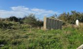 Randonnée Marche La Grande-Motte - la Grande Motte - coulée verte - Photo 2