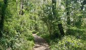 Excursión Senderismo Lieja - rando la plus bucolique sur les coteaux rive gauche de la meuse - Photo 7