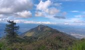 Tour Wandern L'Albère - ullat - san-cristau / retour par la piste  - Photo 20