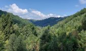 Percorso Marcia Bouillon - Rochehaut 310821 - Photo 2