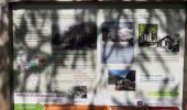 Tour Wandern Vallouise-Pelvoux - Le Glacier Blanc - Pré Madame Carle - Photo 5