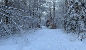 Tocht Stappen Jalhay - Jalhay Fagnes 23,8 km - Photo 4