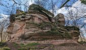 Tour Wandern Philippsburg - 2023-04-09 Marche Chateaux Rothenbourg Waldeck Falkenstein - Photo 2