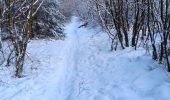 Randonnée Marche Spa - berinzenne entre forêt et fagne  - Photo 13