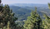 Tocht Stappen Orcines - puy de dôme  - Photo 13